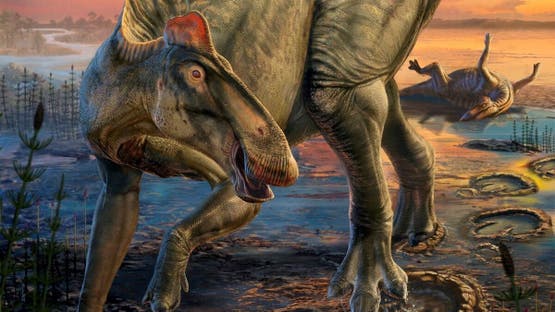 لأول مرة.. خاصية غريبة لم تكتشف في أي ديناصور من قبل